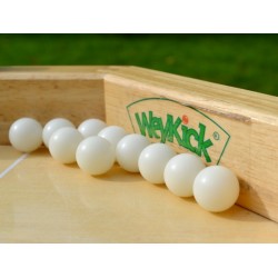 Lot de 10 ballons Weykick