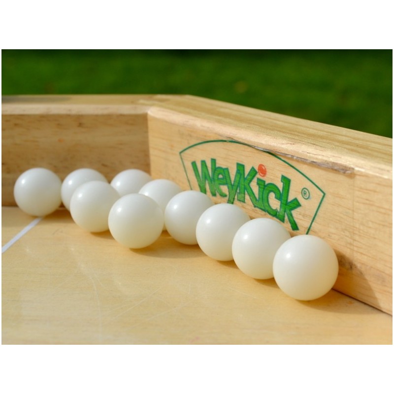 Lot de 10 ballons Weykick