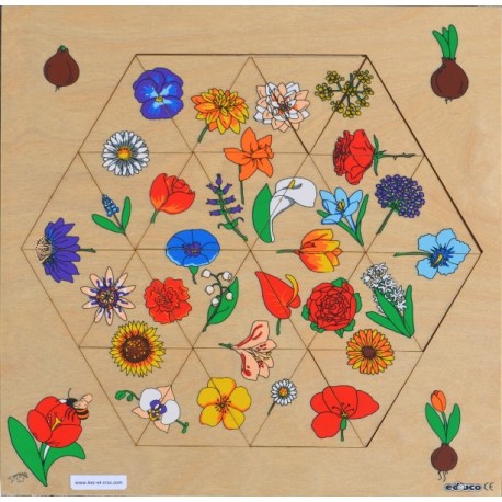 Hexagone fleurs puzzle Hexagone fleurs puzzle
