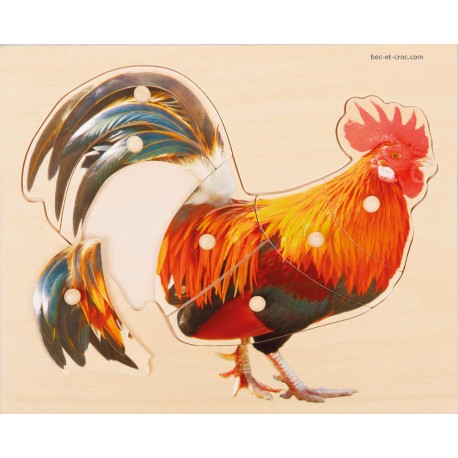 Puzzle Coq en bois