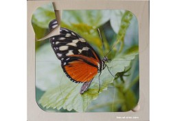 Puzzle papillon en bois