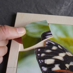 Puzzle papillon en bois